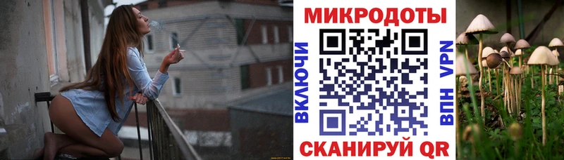 Псилоцибиновые грибы Cubensis  Кировград 